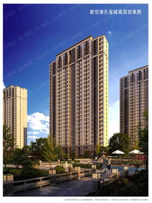 第二機(jī)場(chǎng)受益區(qū)域解析 首付27萬購100平3居