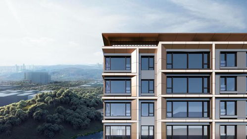 興城之星 純粹改善高奢大宅 回應(yīng)時(shí)代的選擇