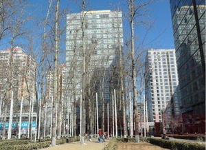 橡樹公館 北京橡樹公館配套實(shí)景圖,樣板間,效果圖,戶型圖 北京網(wǎng)易房產(chǎn)