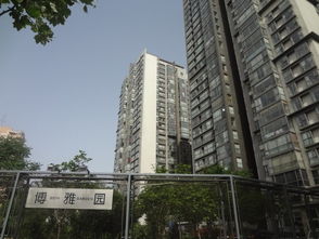 博雅園租房,33000元 月,觀golf 南北通透 朝陽公園 景園 9號公寓 拎包入住 北京租房 推推99北京房產(chǎn)網(wǎng)