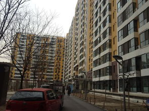 左右坊租房,5500元 月,地鐵4號線 公益西橋 角門西 家具家電齊全 交通方便 北京左右坊租房 推推99北京房產(chǎn)網(wǎng)