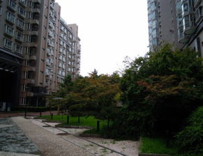 宣武門楓樺豪景豪裝一居室 白領租房的不二之選