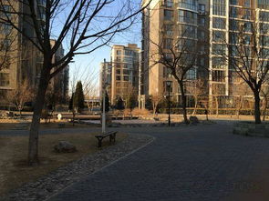 雍景天成精裝大二居出租，月租9800元，花園式小區(qū)品質生活